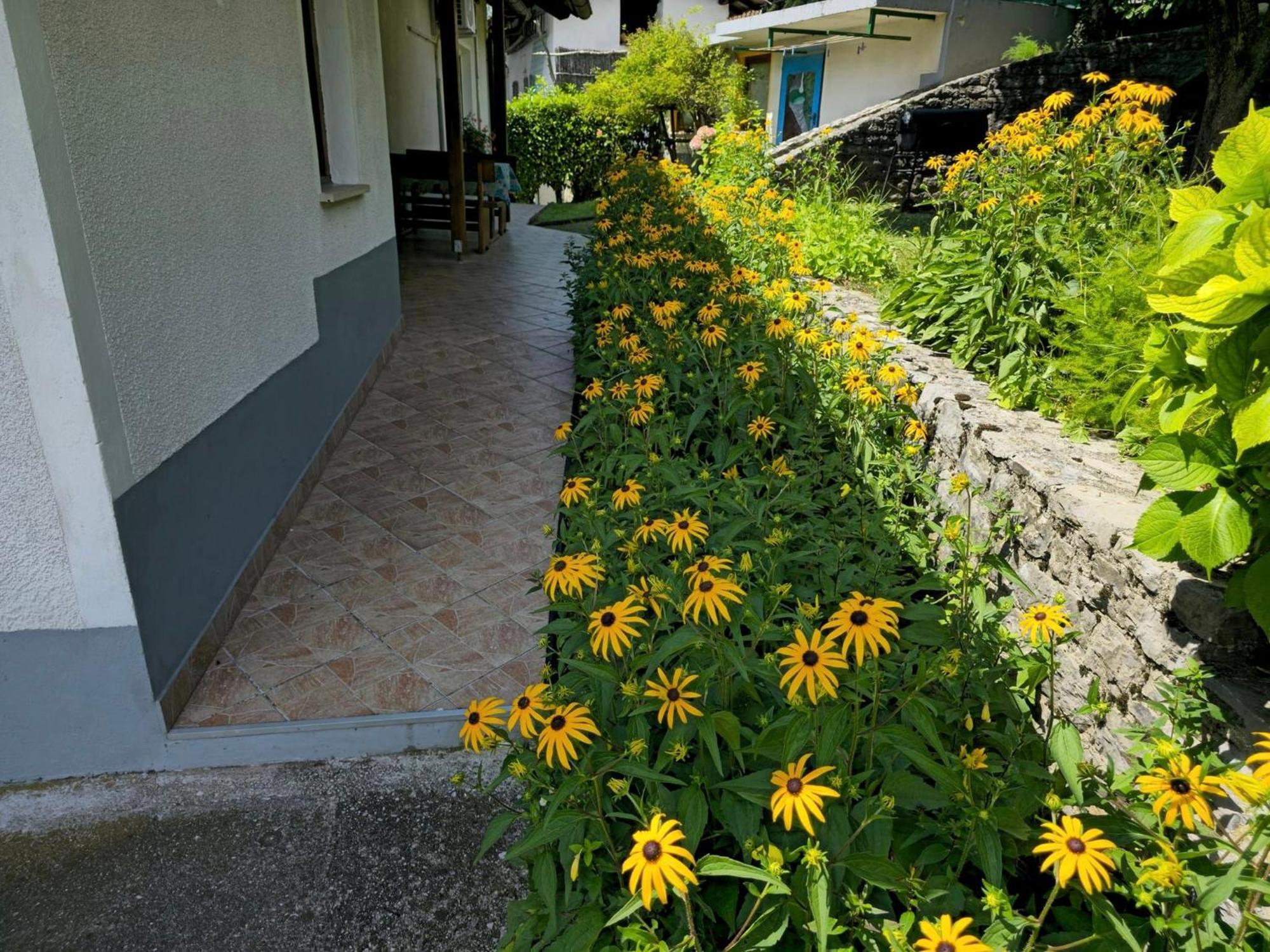 Hébergement de vacances Mobile House Kd